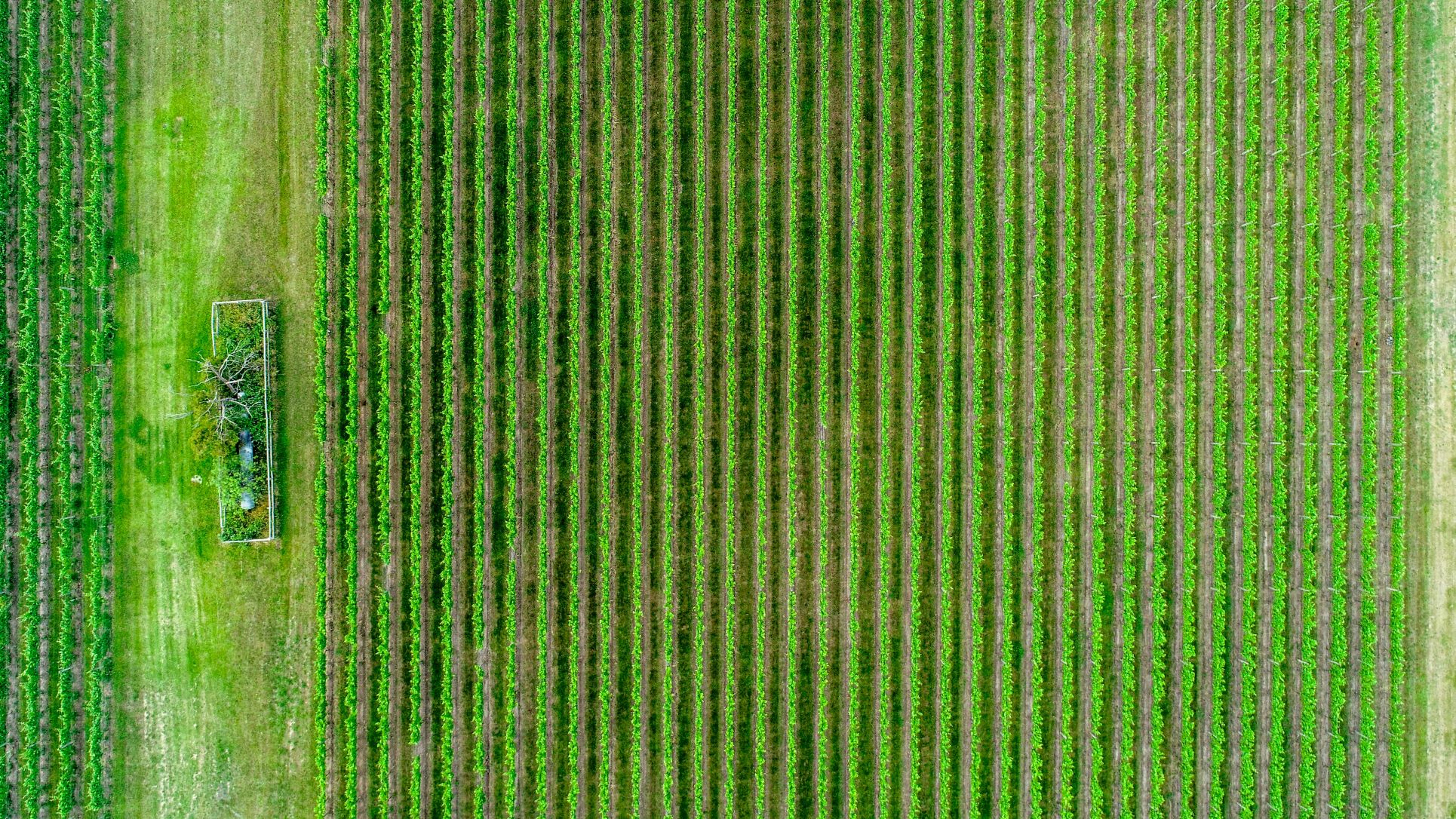 Carbon farming reducing greenhouse gas emissions