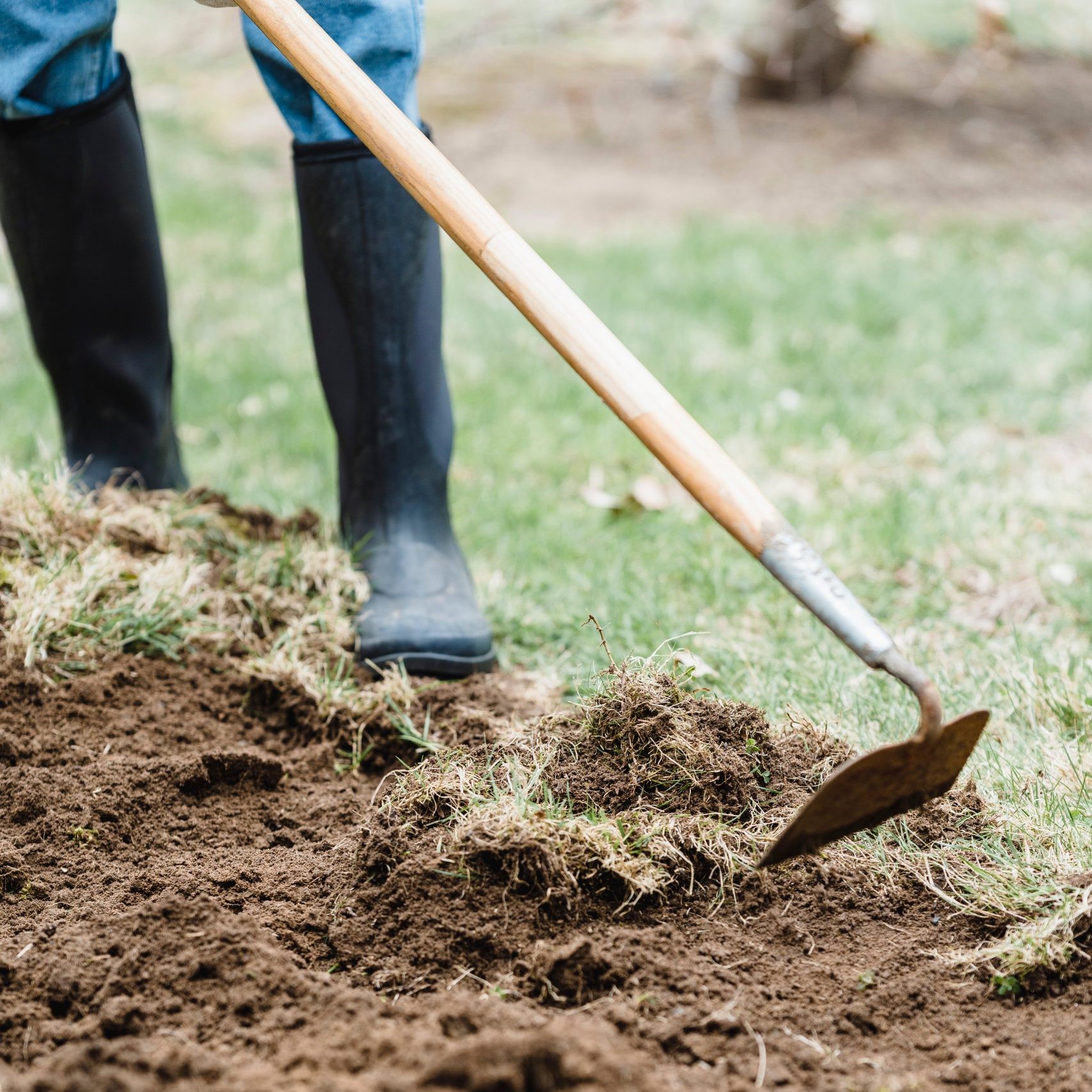 pexels-greta-hoffman-7728016-scaled;